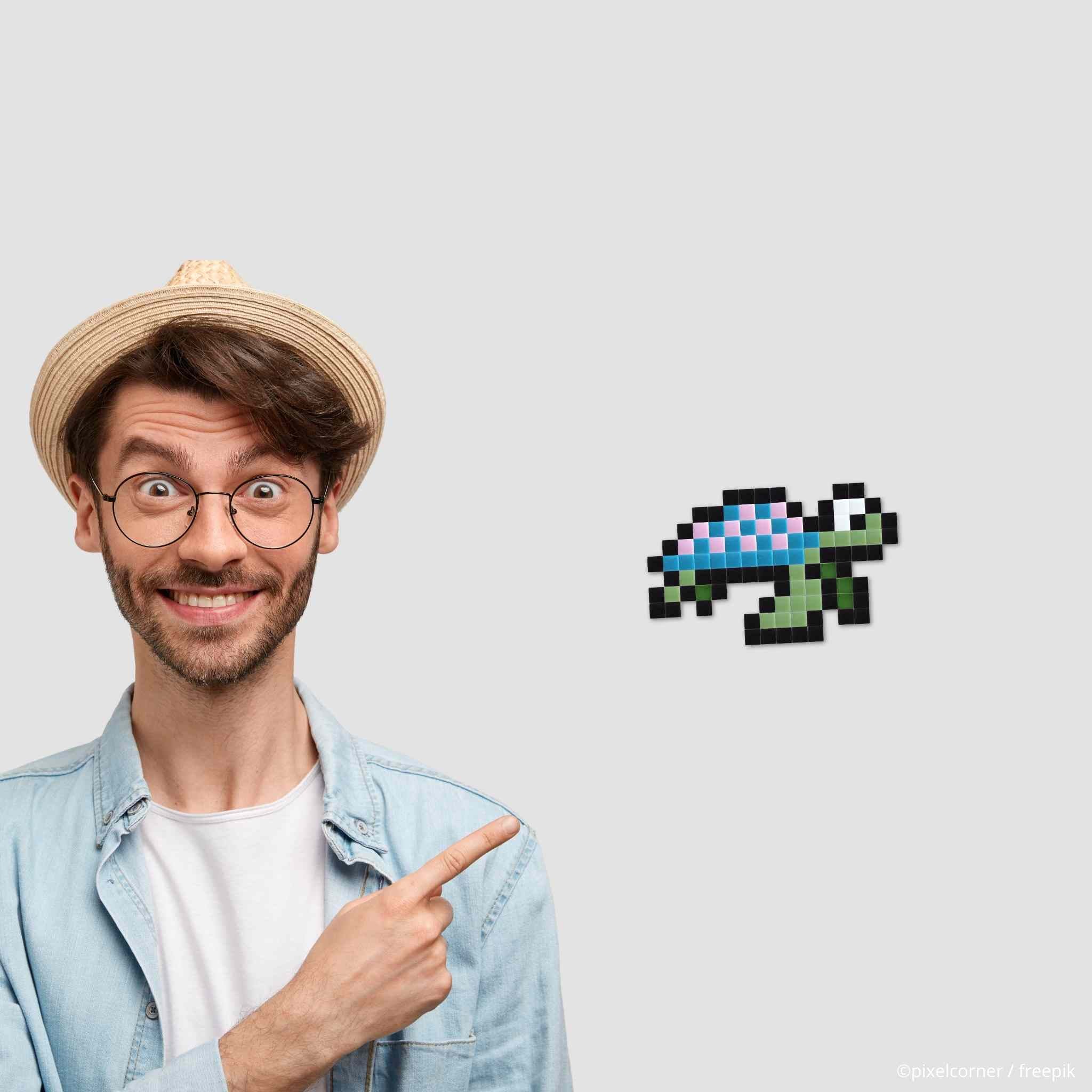 Pixel Art Kit "Tortue(s)" par Pixel Corner - Kits de loisirs créatifs