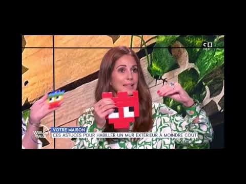 les pixel art kit expliqué en 1 minute lors du passge à la tv