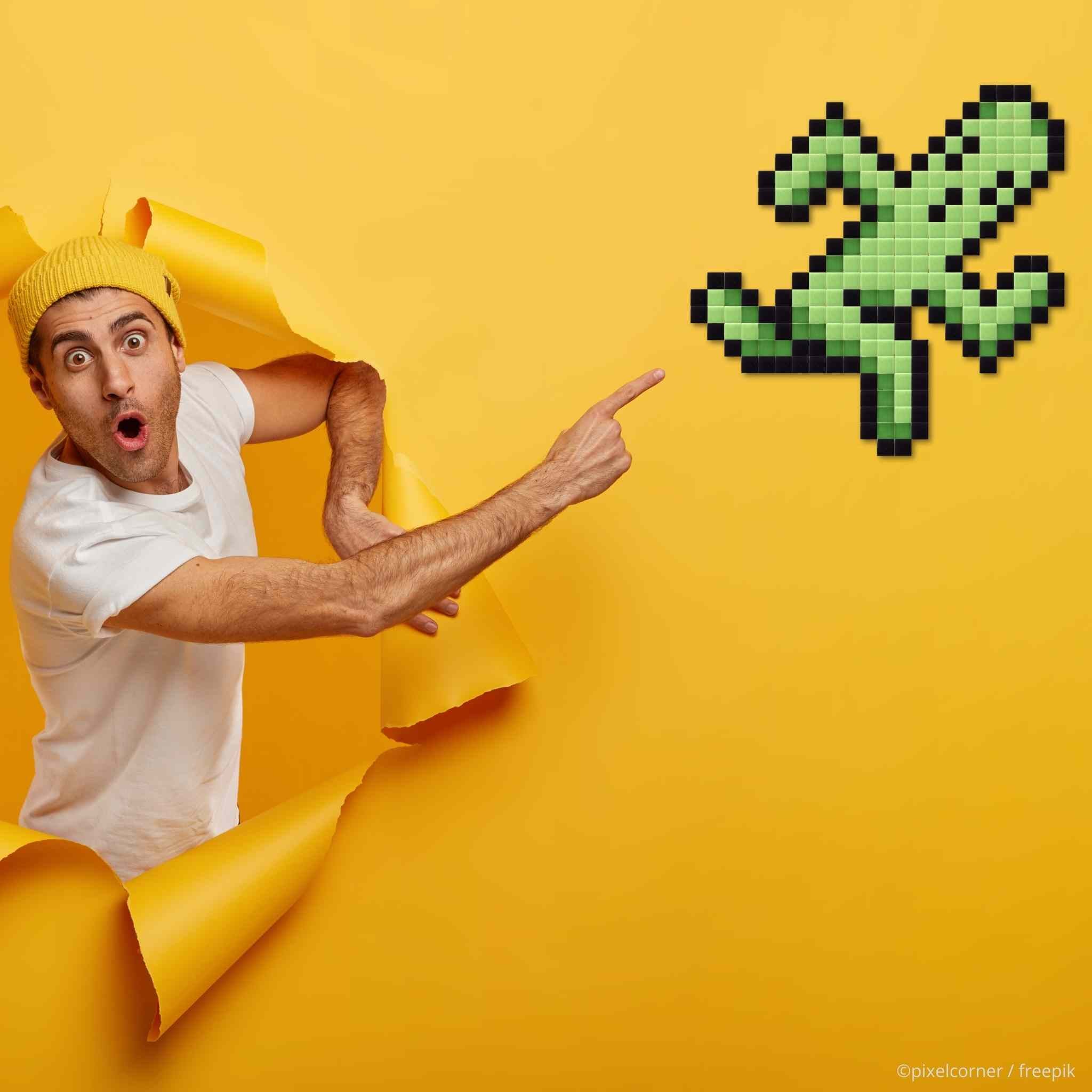 Pixel Art Kit "Pampa Run" par Pixel Corner - Kits de loisirs créatifs