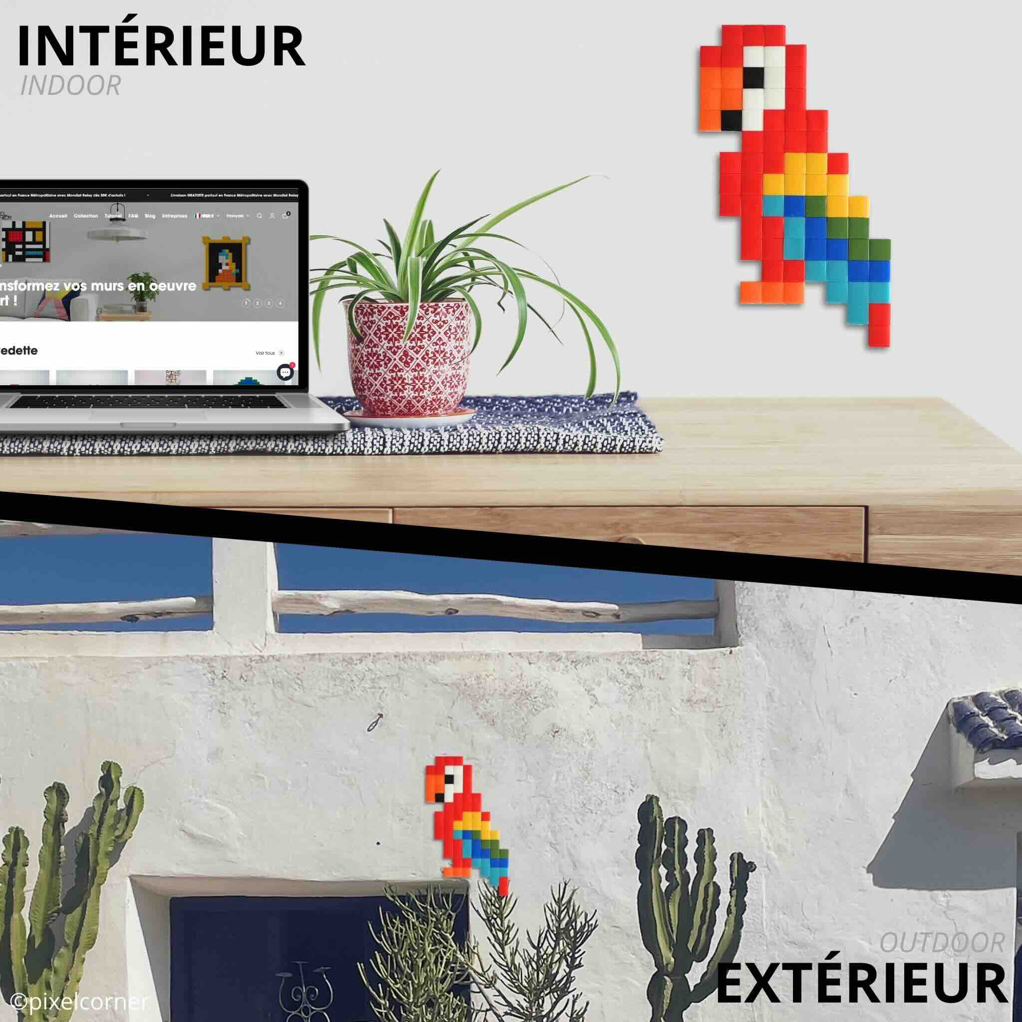 Pixel Art Kit "Papa Gayo" mosaïque de verre diy loisirs créatifs de perroquet accroché sur un mur en extérieur et intérieur