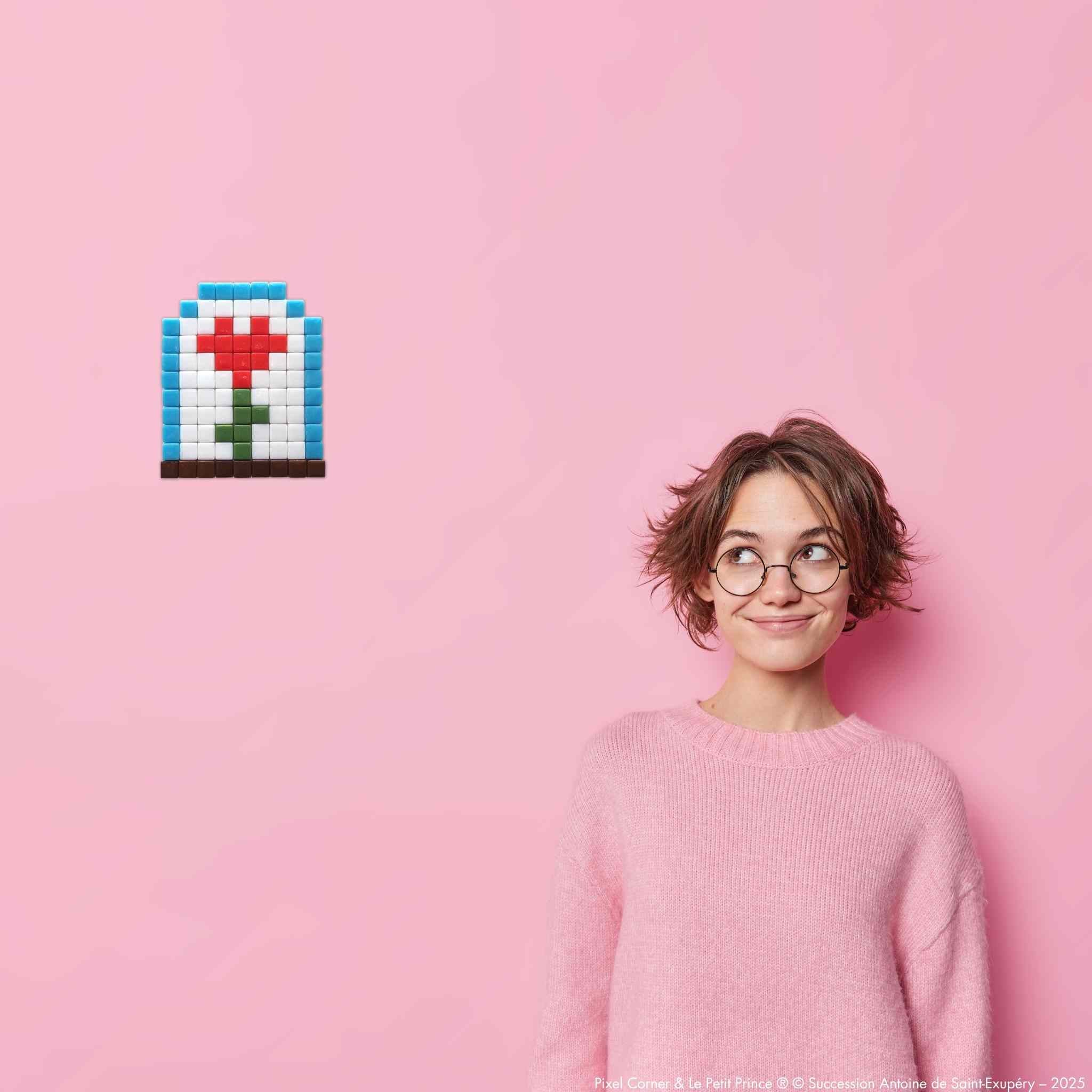 Pixel Art Kit "Amour Sous Cloche" - Le Petit Prince®