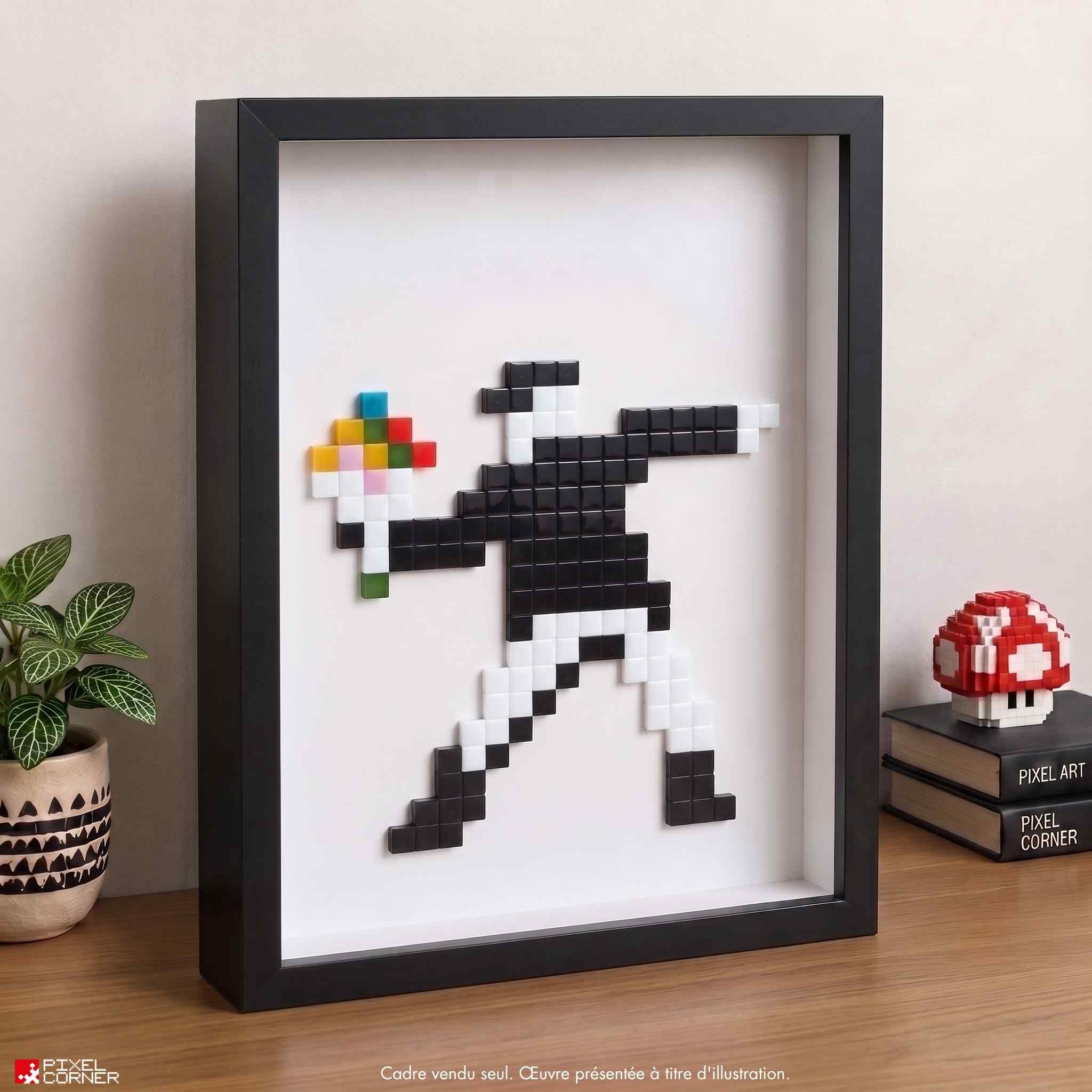 Les Cadre(s) - Vitrine pour Mosaïque Pixel Art par Pixel Corner - Cadres