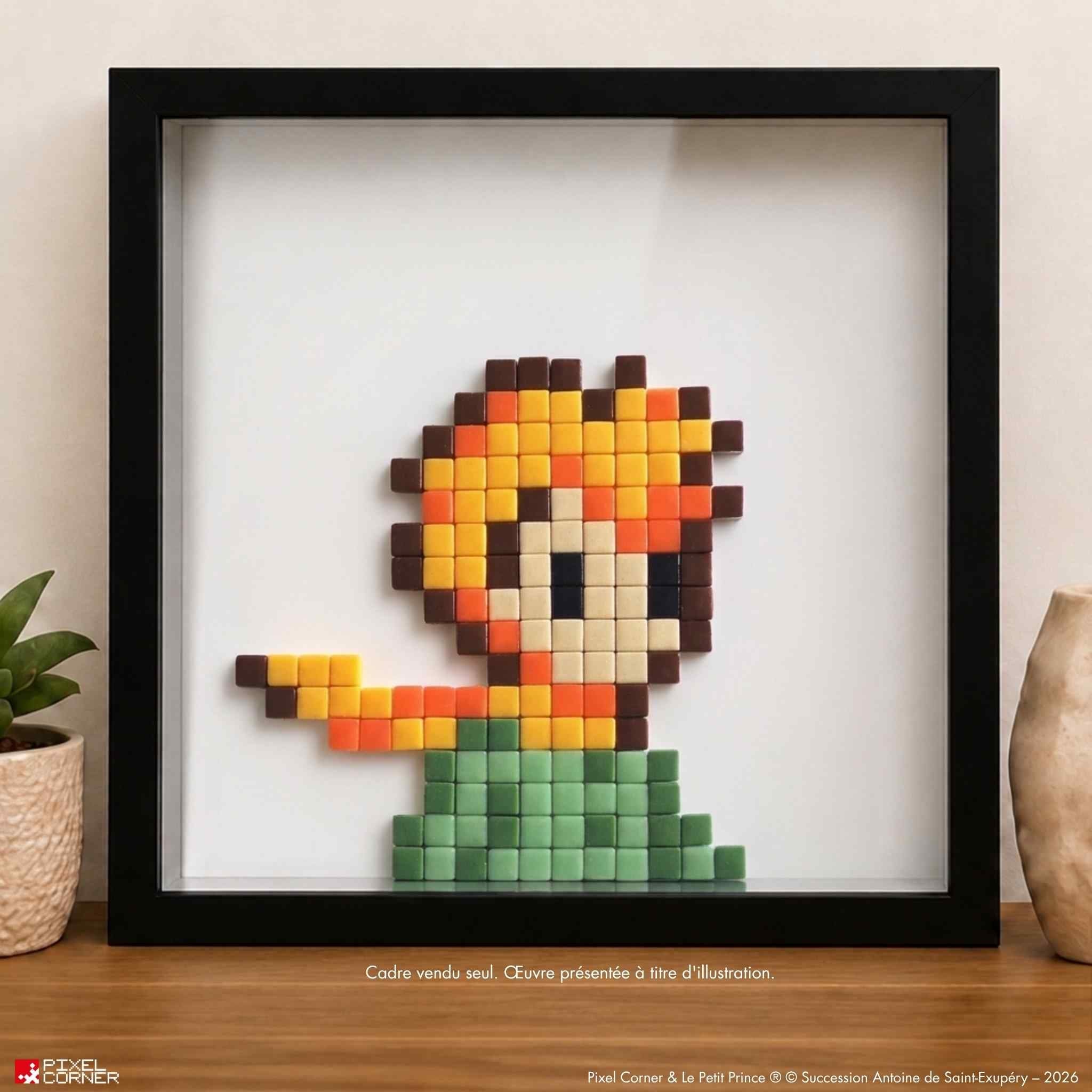 Les Cadre(s) - Vitrine pour Mosaïque Pixel Art par Pixel Corner - Cadres