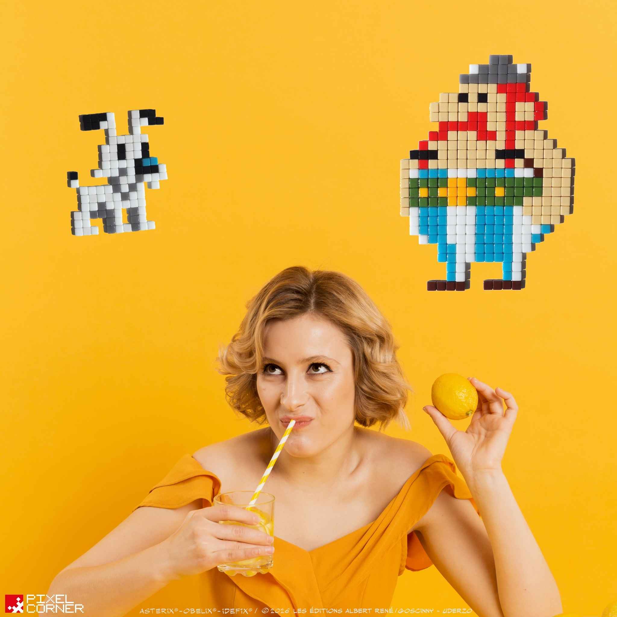 Pixel Art Kit “Idéfix®” par Pixel Corner - Kits de loisirs créatifs