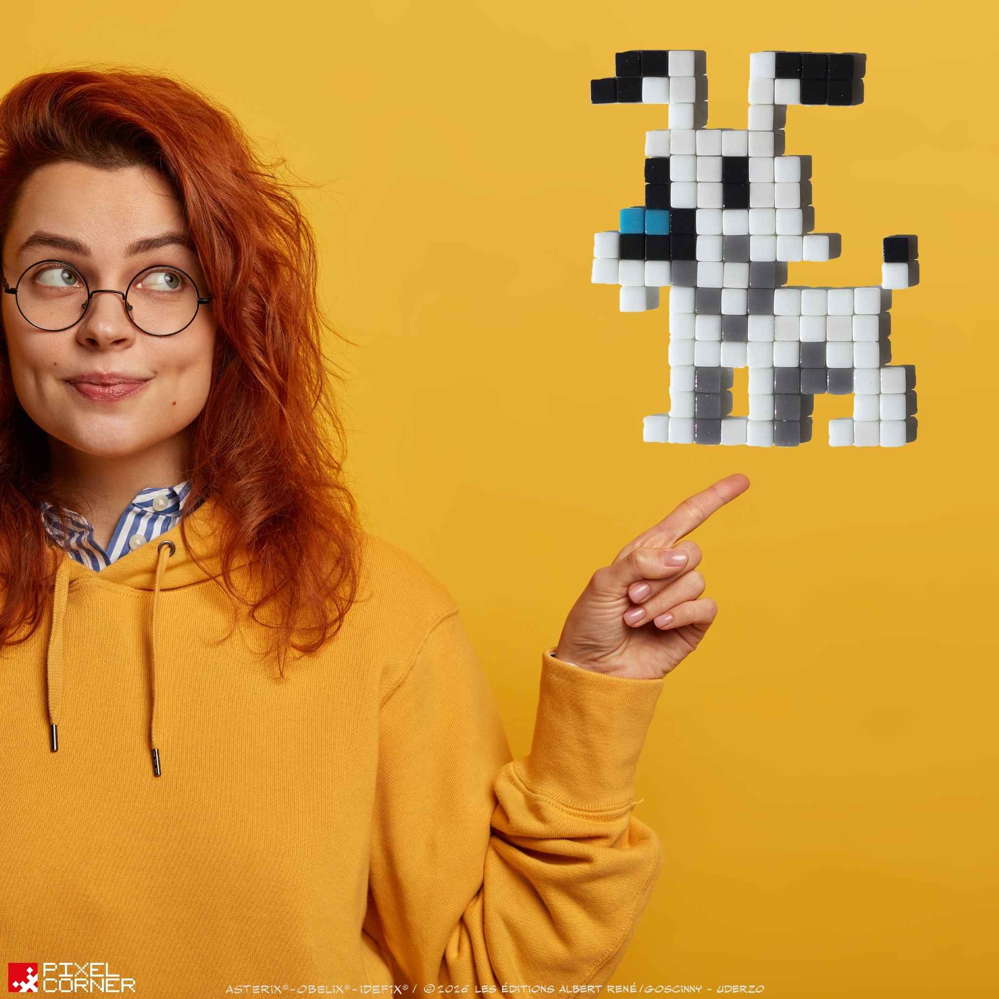 Pixel Art Kit “Idéfix®” par Pixel Corner - Kits de loisirs créatifs
