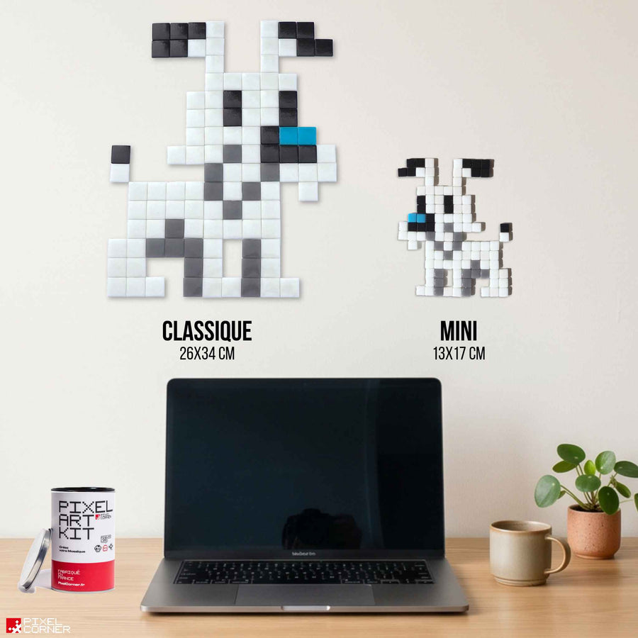Comparaison des tailles Pixel Corner