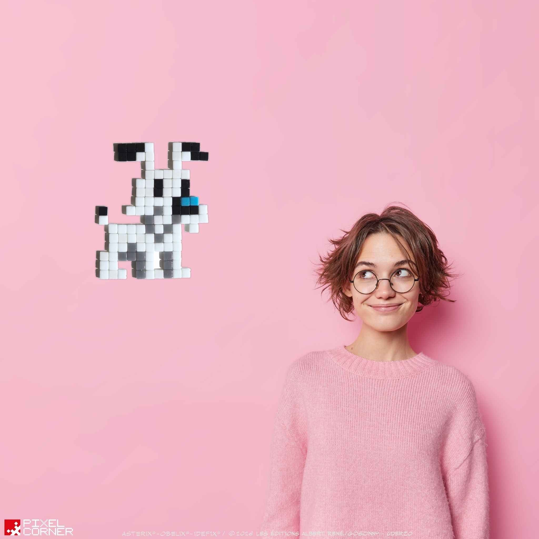 Pixel Art Kit “Idéfix®” par Pixel Corner - Kits de loisirs créatifs