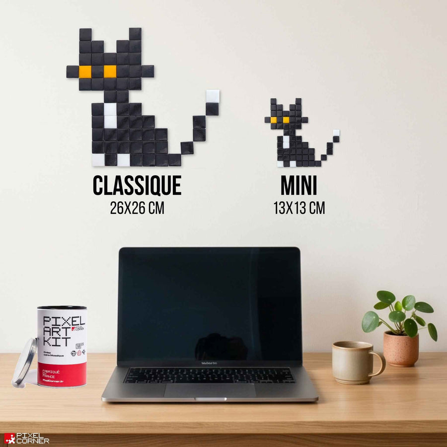 Comparaison des tailles Pixel Corner
