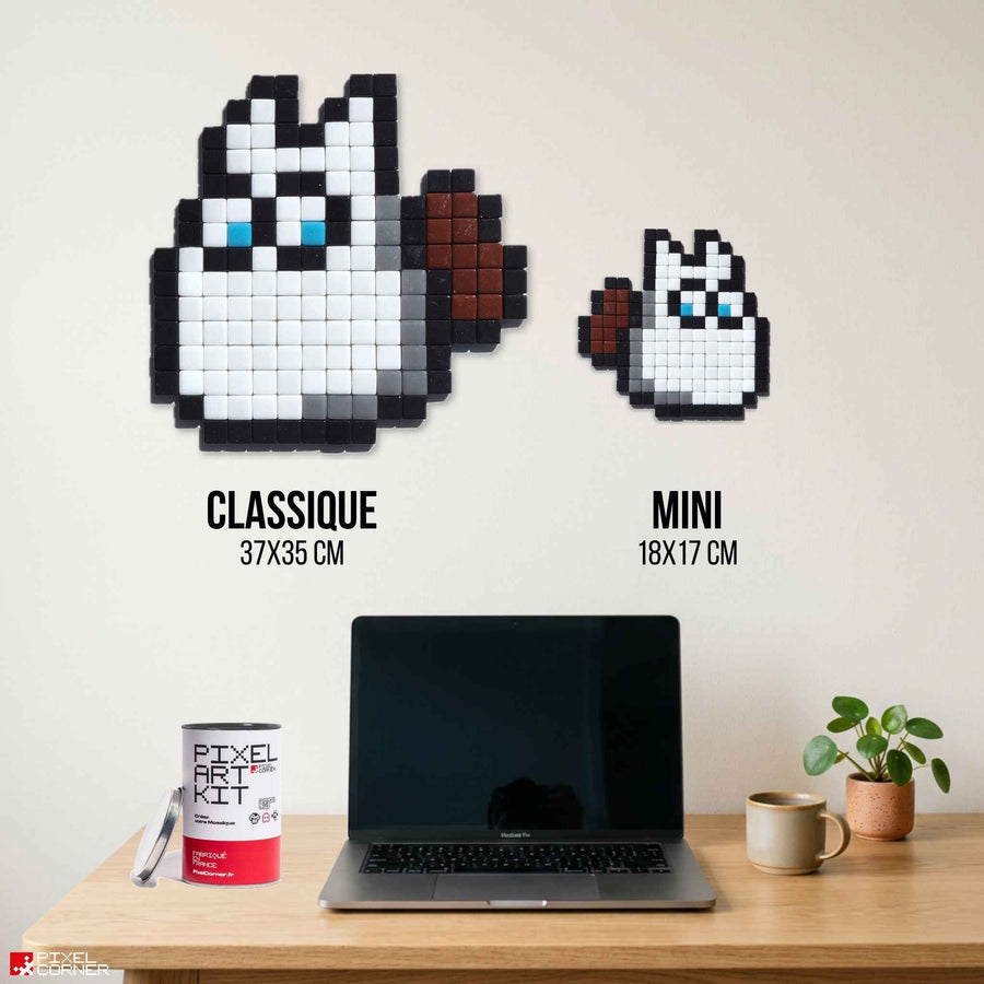Comparaison des tailles Pixel Corner