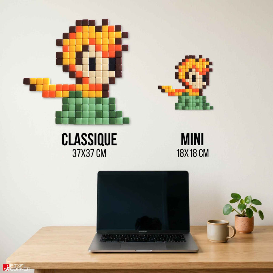 Comparaison des tailles Pixel Corner