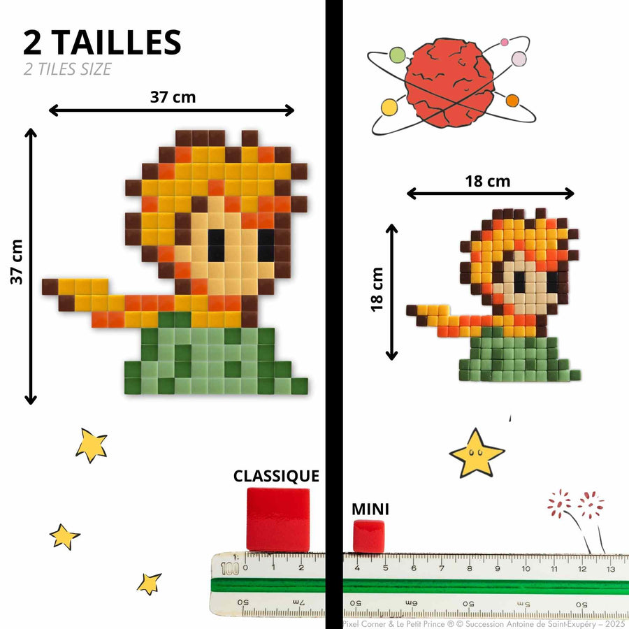 Comparaison des tailles Pixel Corner