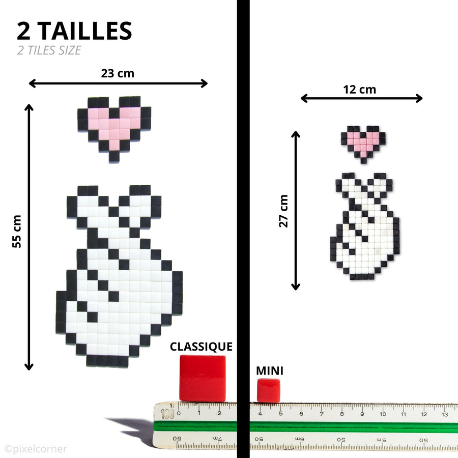 Comparaison des tailles Pixel Corner