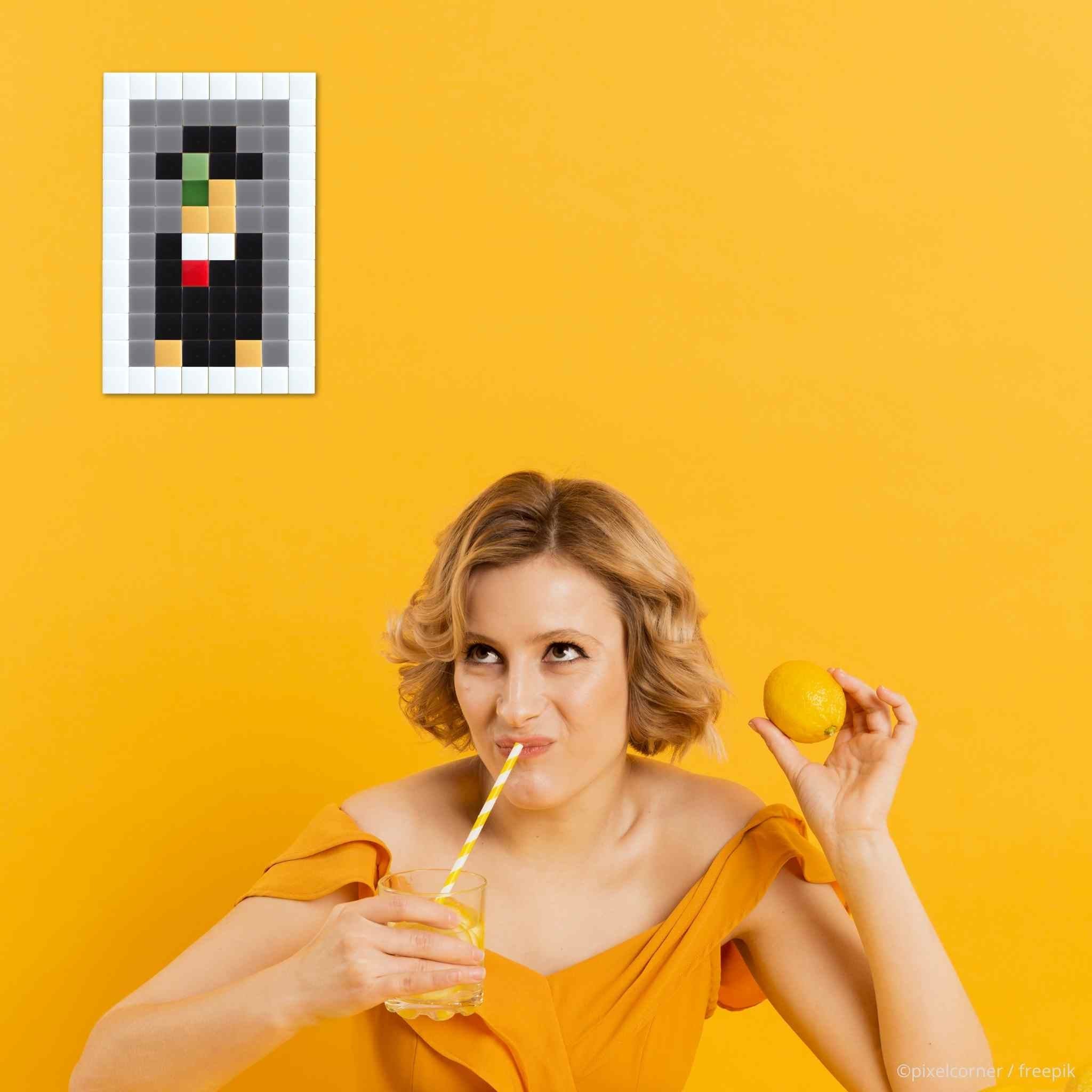 Pixel Art Kit "Mini René" par Pixel Corner - Kits de loisirs créatifs