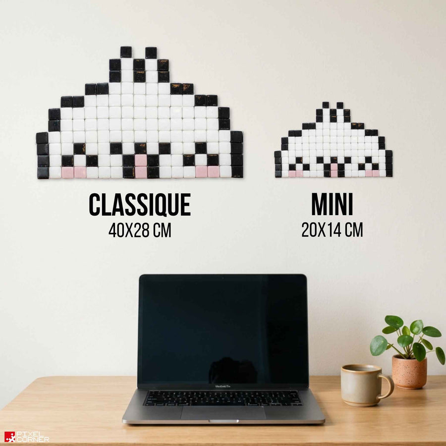 Comparaison des tailles Pixel Corner