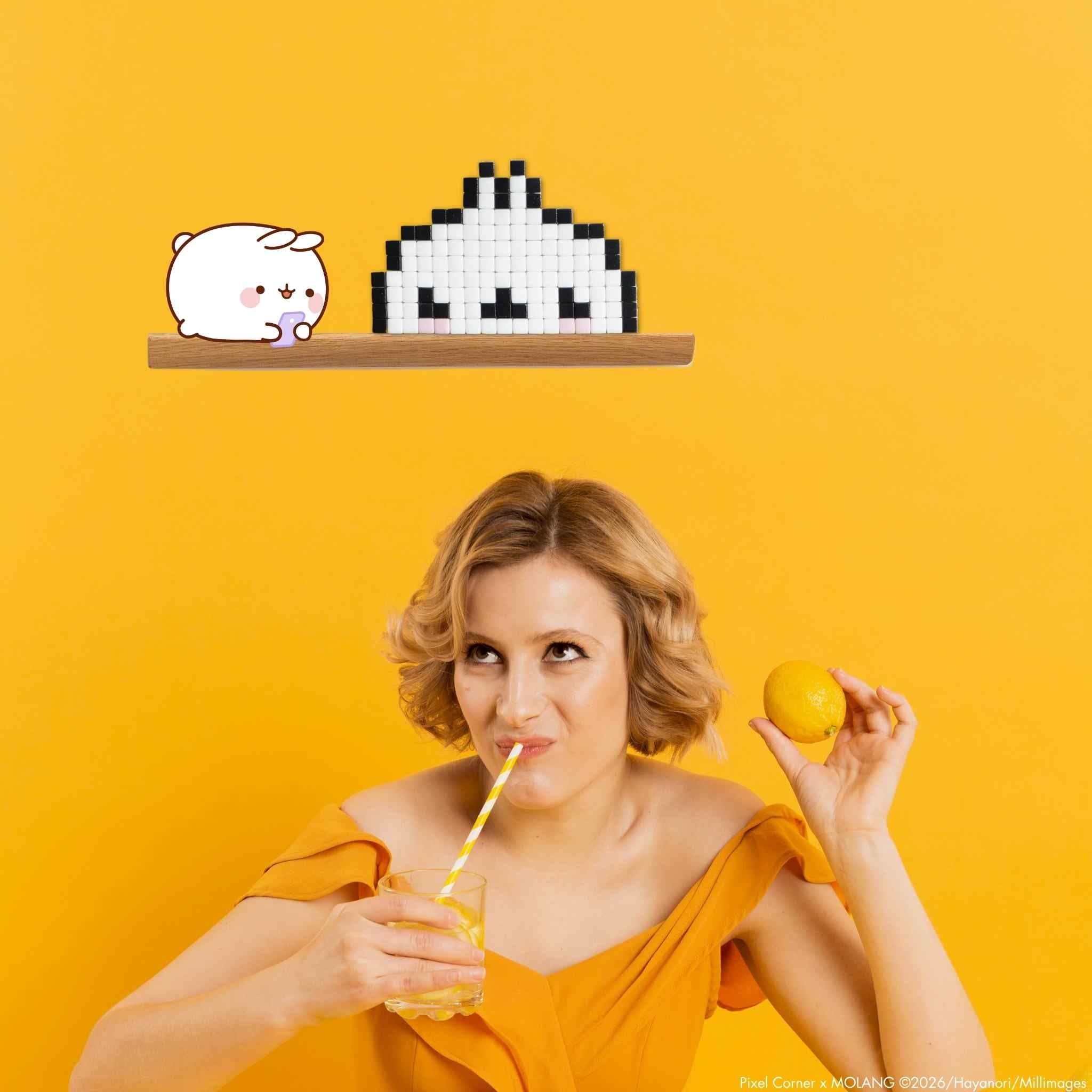 Pixel Art Kit "Molang" par Pixel Corner - Kits de loisirs créatifs
