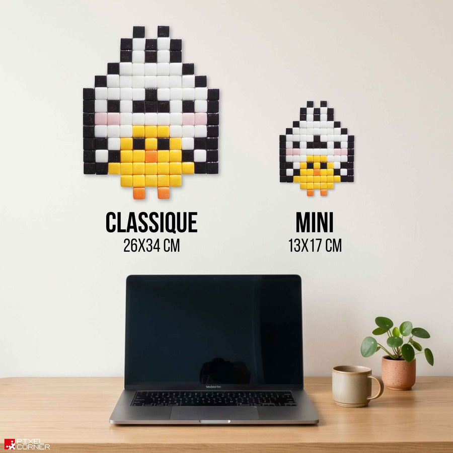Comparaison des tailles Pixel Corner