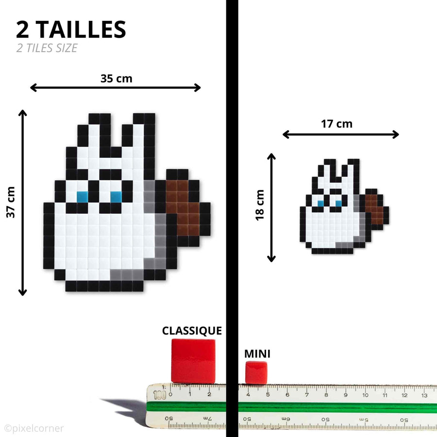 Comparaison des tailles Pixel Corner