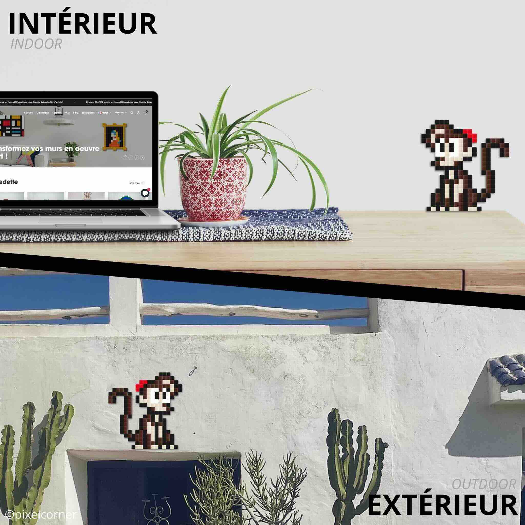 le singe abu de aladdin disney en mosaïque diy pixelart accroché sur un mur en intérieur et en extérieur avec des plantes et cactus